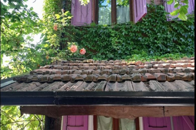 Un luogo da vivere: natura, spazio e libertà sulle colline dell’Oltrepò