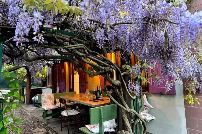 Un luogo da vivere: natura, spazio e libertà sulle colline dell’Oltrepò