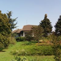 Villa di carattere, ideale per B&B, Casa Famiglia o Residenza plurifamigliare Villa di carattere, ideale per B&B, Casa Famiglia o Residenza plurifamigliare
