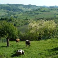 Agriturismo sulla via del Sale alta collina di Godiasco Salice Terme  