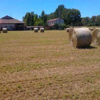 Caratteristica cascina d'epoca a corte rettangolare e tanto altro 