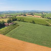 Podere con residenza privata in posizione collinare 