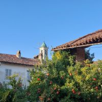 Abitazione rurale  con rustici e giardino da ristrutturare 