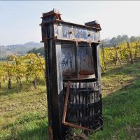 Torricella Verzate (PV) Antica casa colonica con vigneto 