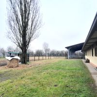 Podere agricolo di 20HA ca. + Maneggio+Struttura ricettiva 800mq