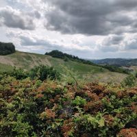 Co-housing famigliare sulle colline piacentine e altro 