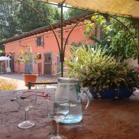 Prestigious historic farmhouse with wooded park in the Pavia countryside 