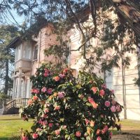 Miradolo Terme (PV) ​​​​​​​Prestigious Liberty-Style Villa for Sale – Less than 50 km from Milan